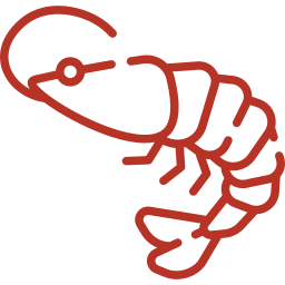 Prawns icon